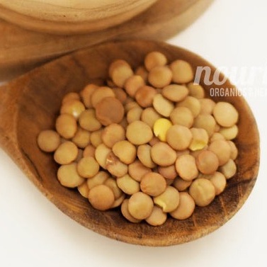 Brown Lentils 100gr