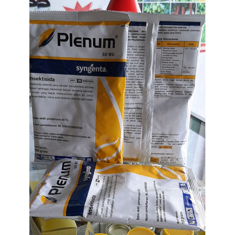 PLENUM 50 WG 100 GR