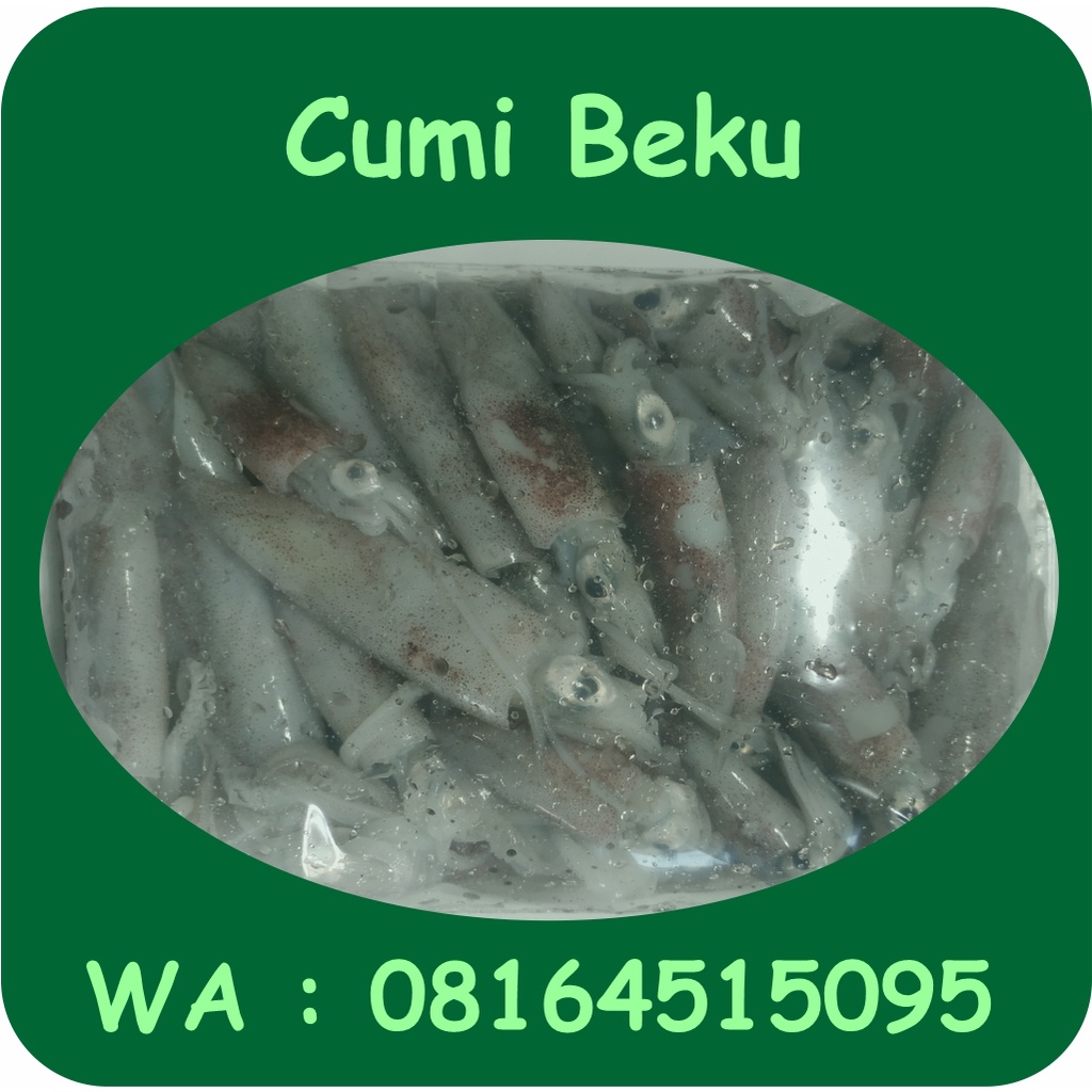 Cumi Frozen/ Cumi Segar Beku