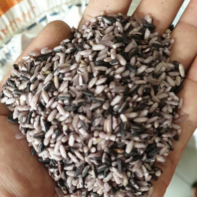

KETAN HITAM SOSOH KETAN HITAM PECAH KULIT BANDUNG SUPER