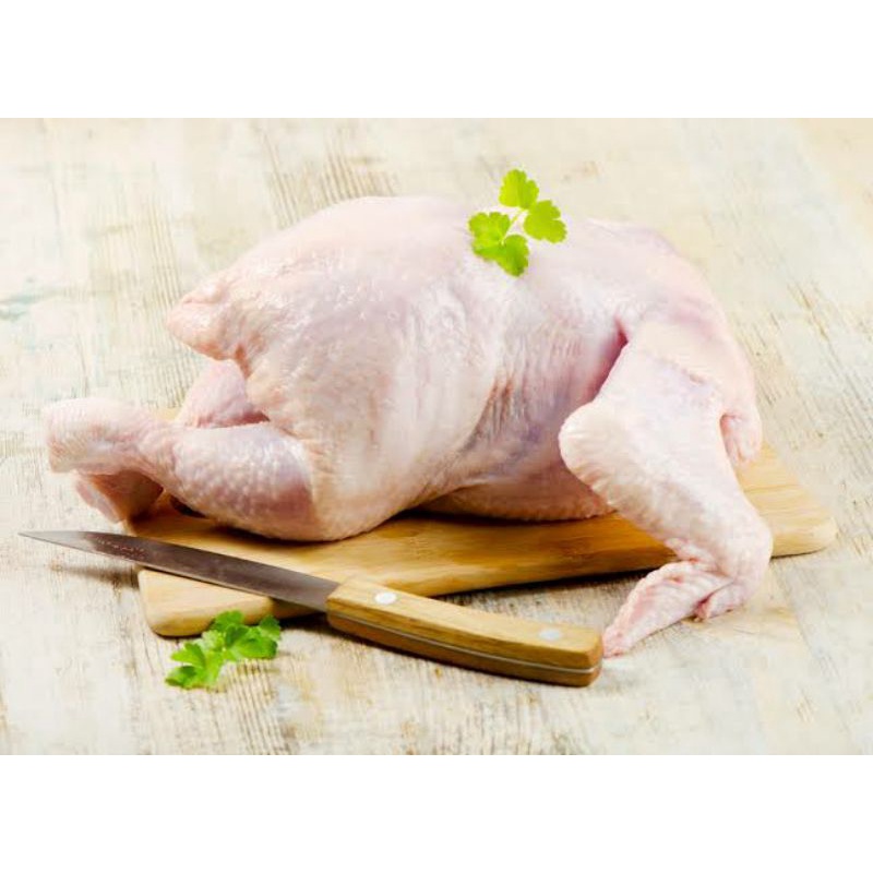 

Grosir ayam segar karkas Termurah