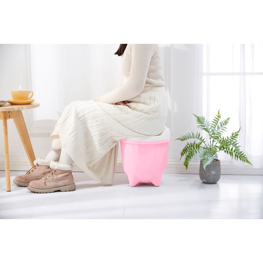 Kursi Penyimpanan Barang C77 Stool Bangku Anak Storage Box M978