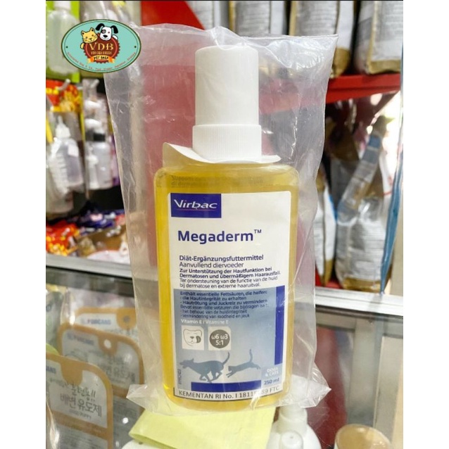 Megaderm
