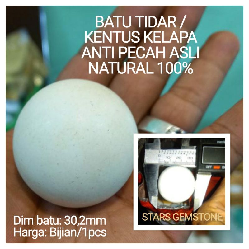 BATU TIDAR /KENTUS KELAPA ANTI PECAH ASLI NATURAL 100%