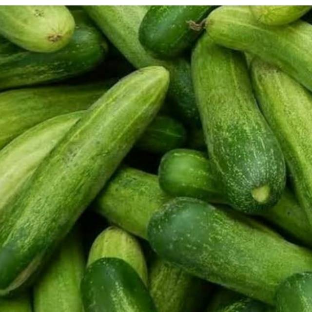 

Ketimun 500gr