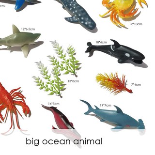Kdfre Edufuntoys Ocean World Miniatur Hewan Laut Ukuran