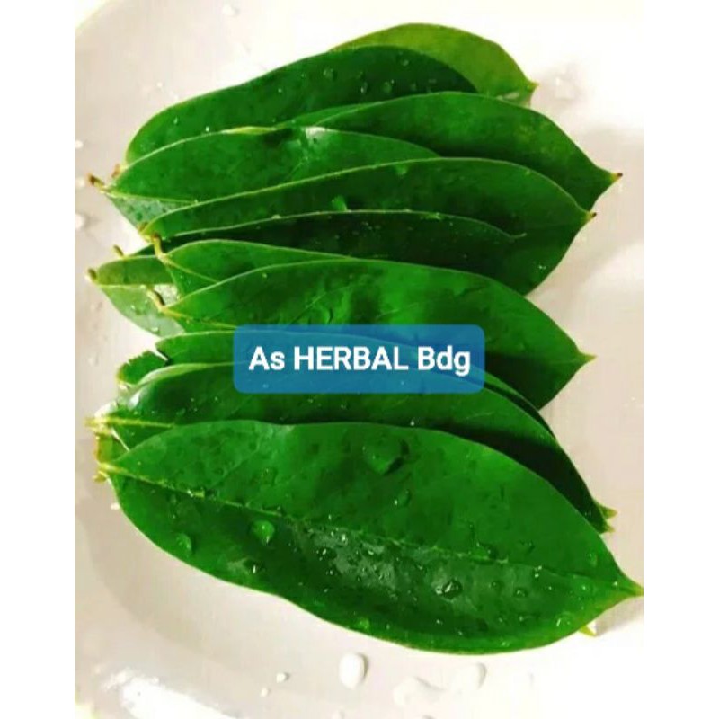 

Daun Sirsak Segar 1 Kg - GRATIS Daun Kumis Kucing-az