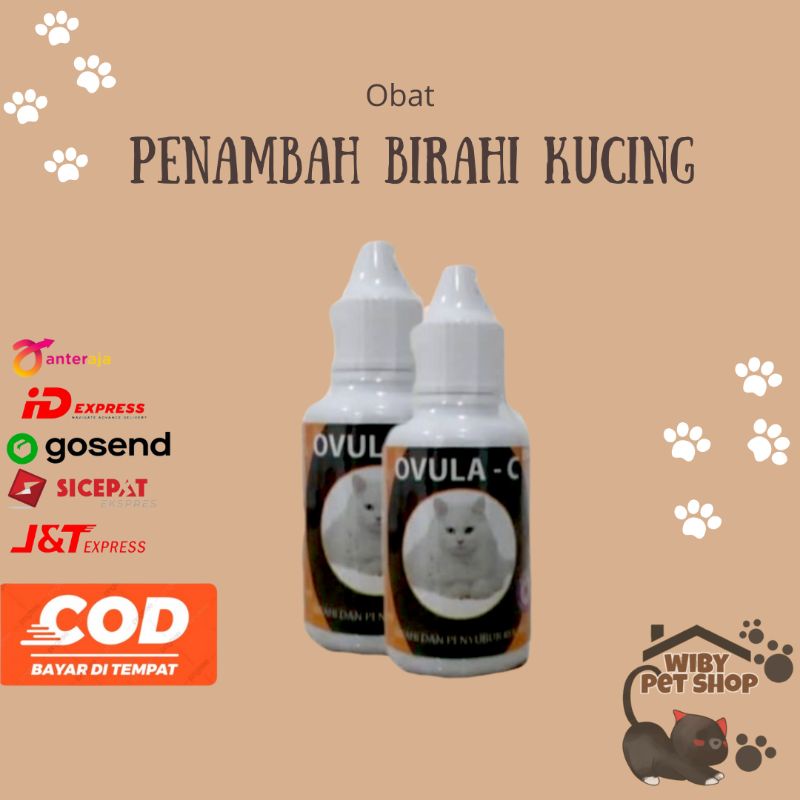 Ovula C Kucing penambah birahi kucing jantan atau betina