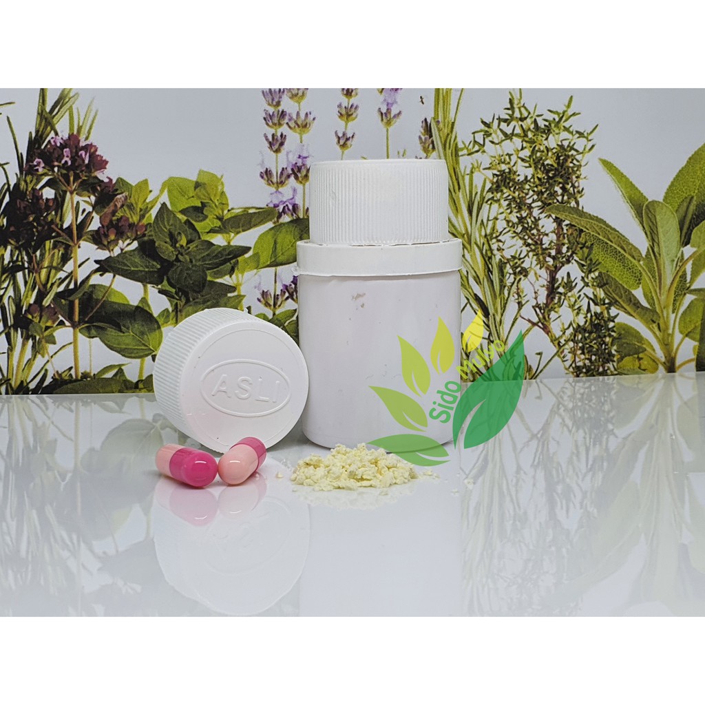 Lami-Kapsul-Polos-Obat-Herbal-Pelangsing-Ampuh-Alami-Pria-Wanita-Asli-Original