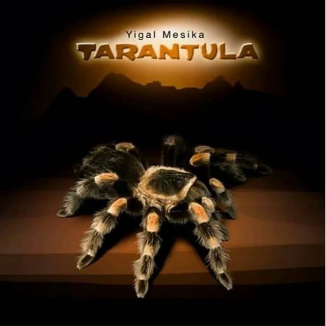 Alat sulap tarantula plus dvd