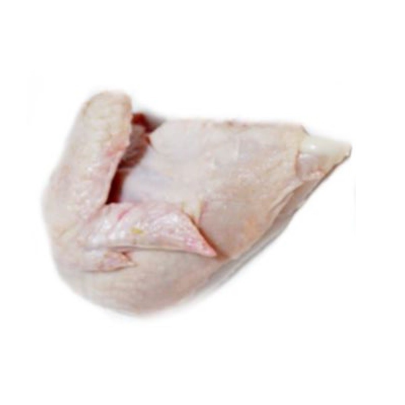 Daging Ayam Broiler 1 4 Ekor Berat Sekitar 250 Gram Pack Indonesia