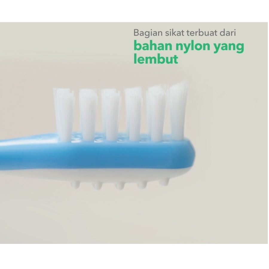 Pigeon Baby Training Toothbrush Lesson 3 Sikat Gigi Bayi Usia 12-18m+ Training Tooth Brush Pigeon WHS