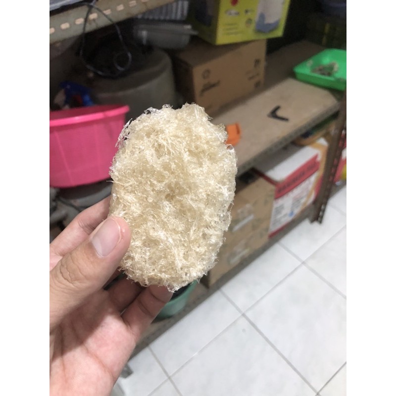 

YENWO PURE / SARANG BURUNG WALET / BIRD NEST per 25 Gram