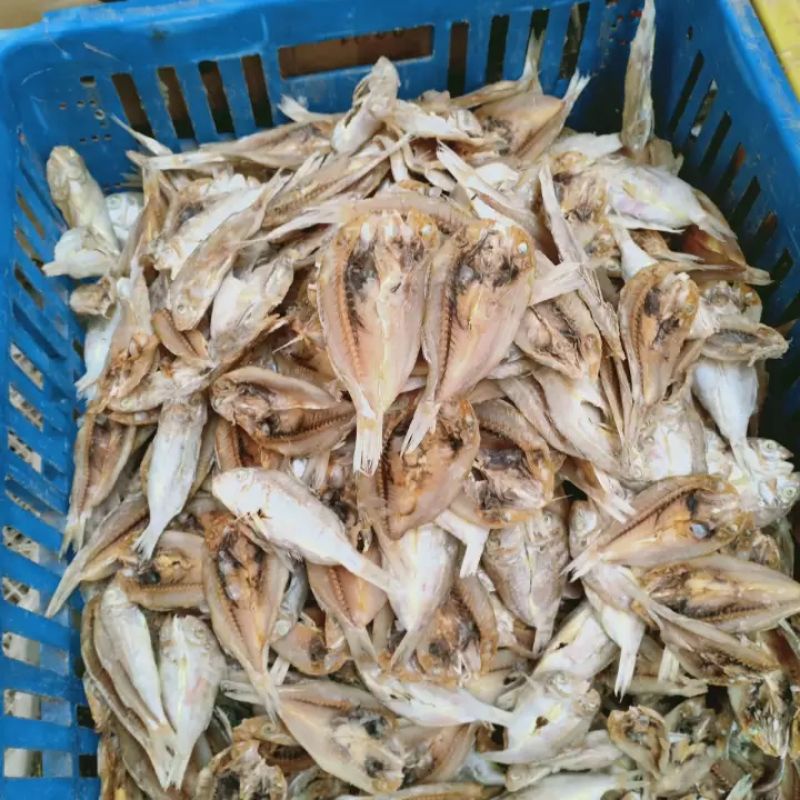 

IKAN ASIN KUNIRAN 1KG