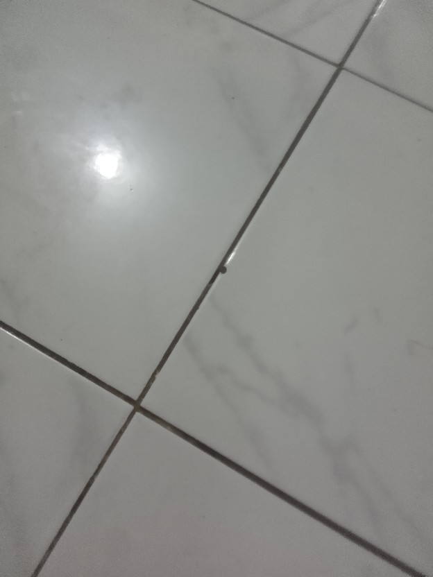 Bibcock Zinc Bspt - Atap Kran Brass Bcs D. 1/2 (ryuichi)