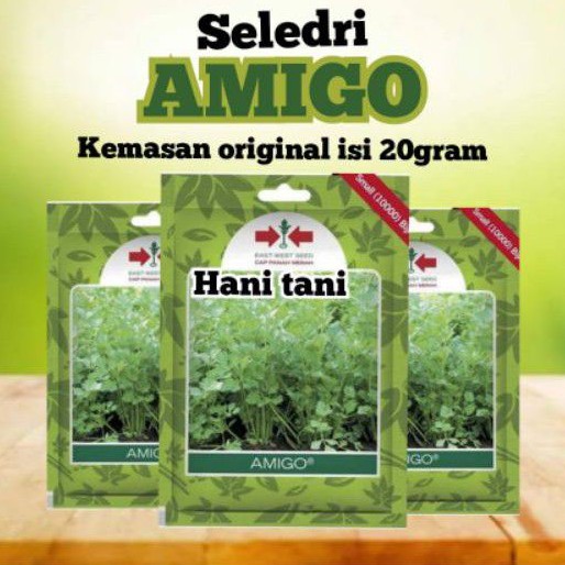 BENIH BIBIT TANAMAN PERTANIAN SAYURAN SELEDRI HIDROPONIK