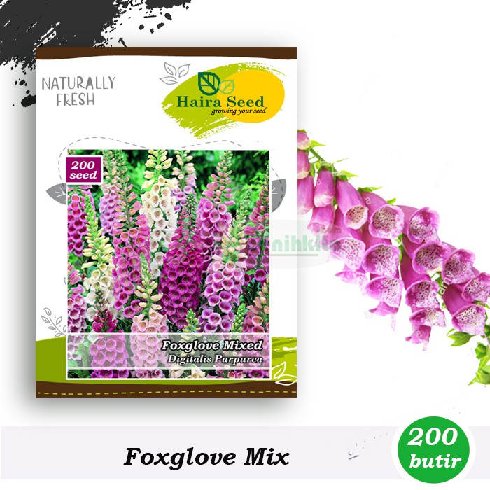 Benih-Bibit Bunga Foxglove Mixed (Haira Seed)