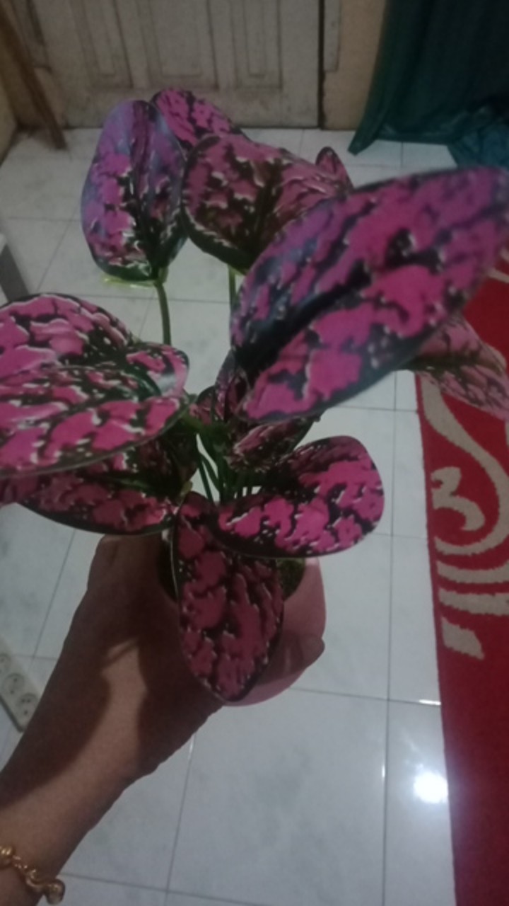 Daun Keladi Artificial Cabang 7/daun Aglonema Artificial Cabang7