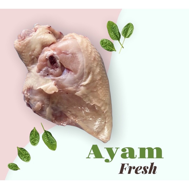 

Dada ayam