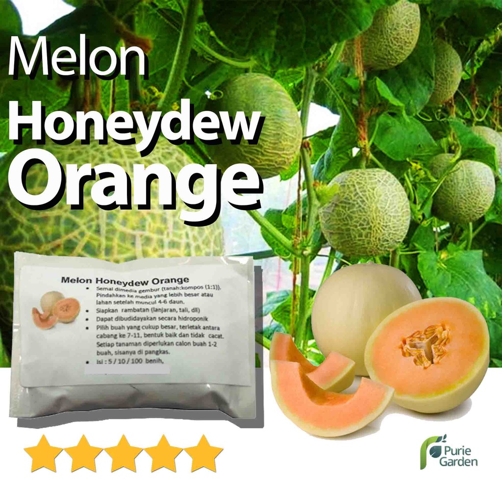 Benih Bibit Melon Honeydew Orange 5 Benih