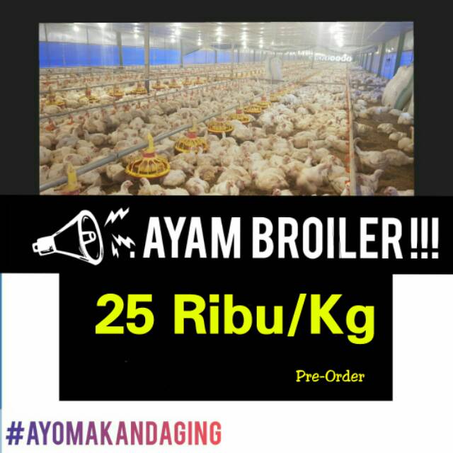 

AyamBroiler