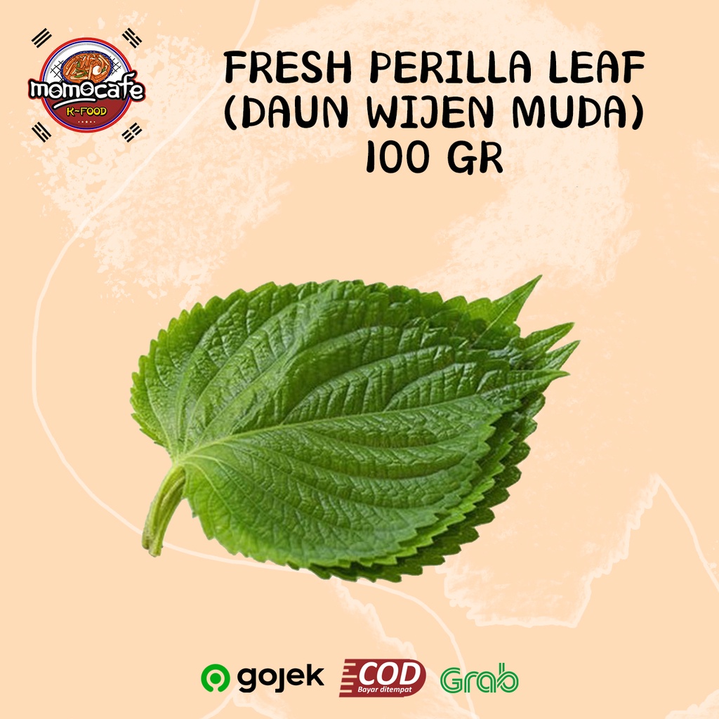 

Perila leaf fresh (Daun wijen muda) 100 Gr Bungkusan Bbq seperti K-Drama