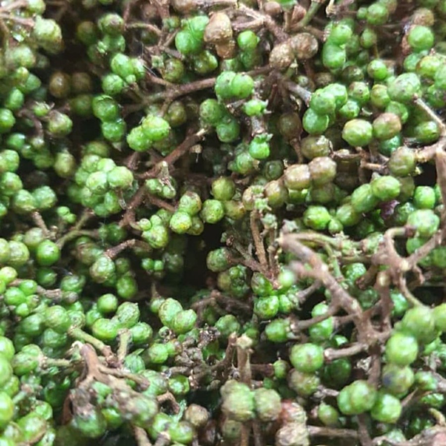 

[PROMO] Andaliman pepper tapanuli organic/ biji andaliman - 250Gram