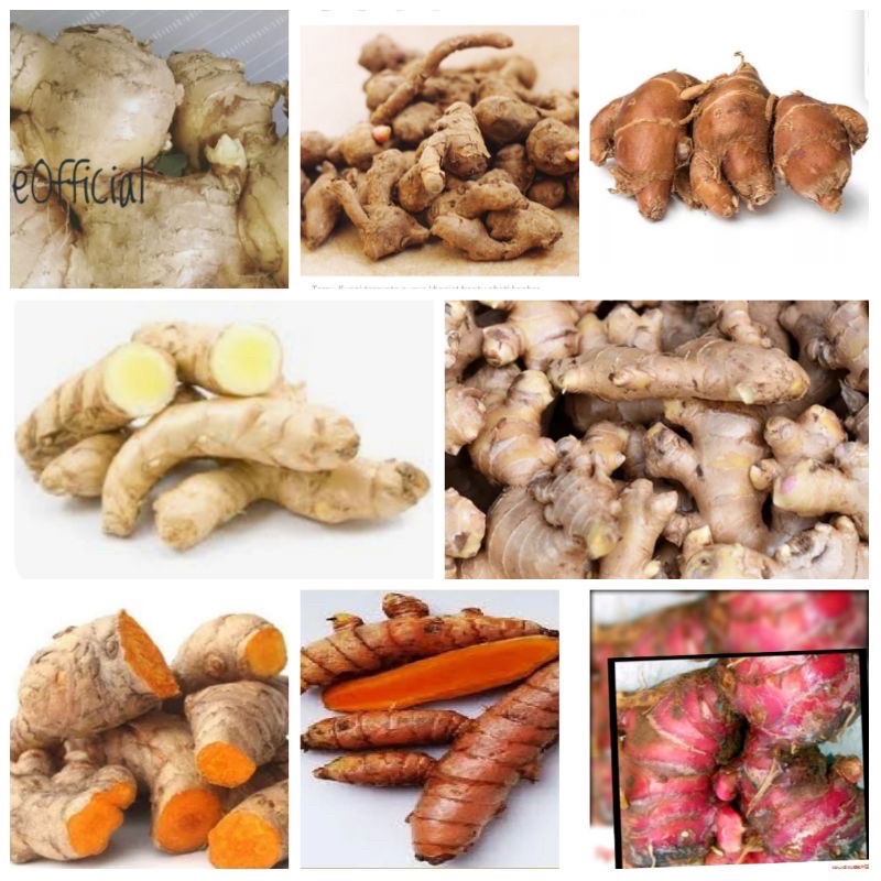 

EMPON EMPON REMPAH REMPAH DAPUR