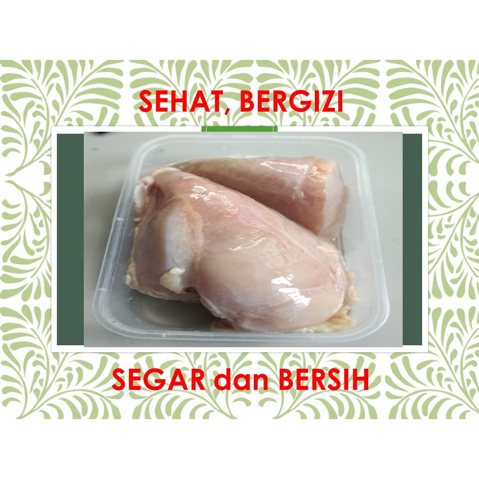 

Ayam Fillet Dada 1/2 ~ 1 kg segar