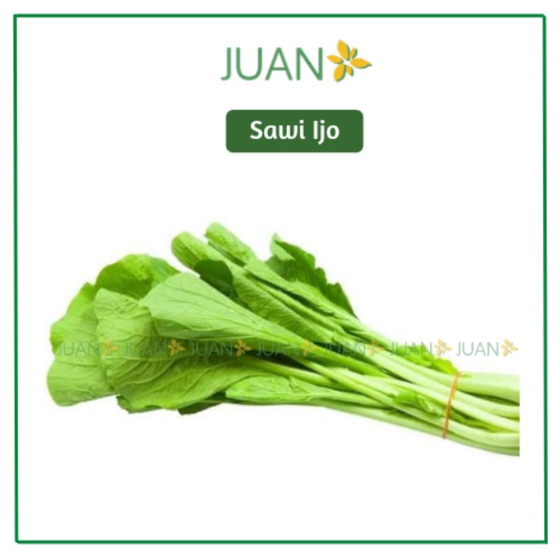 

Sawi Hijau 1 Ikat - Juan Freshmart