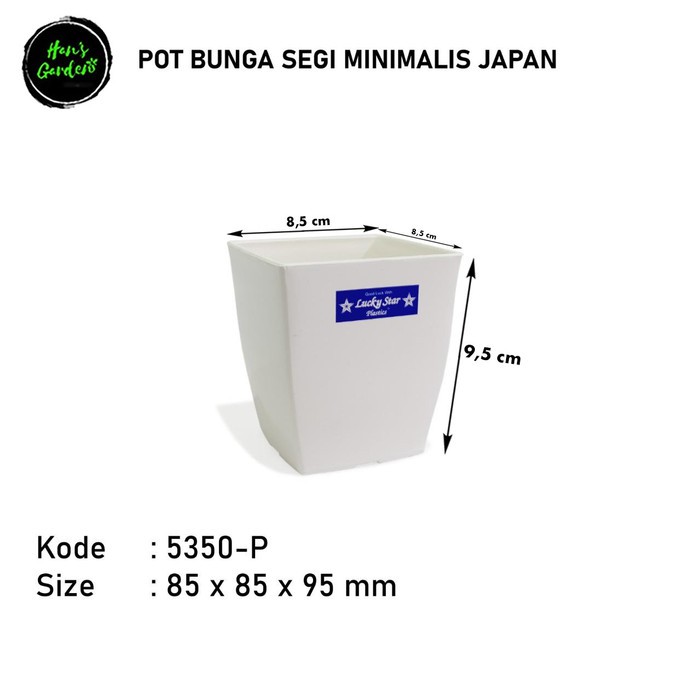 Pot bunga segi minimalis japan Daiso mini 5350P lucky star