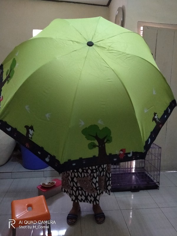 Payung Lpt 4 Fancy Motif Little Red Riding Hood Anti Uv