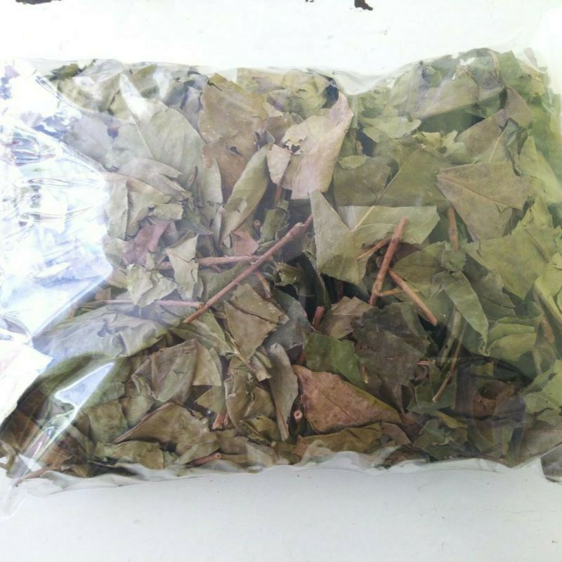 Daun salam Kering 1 kg / koja kering