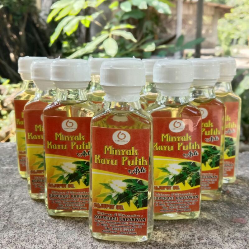 Minyak kayu putih perhutani ASLI 100%