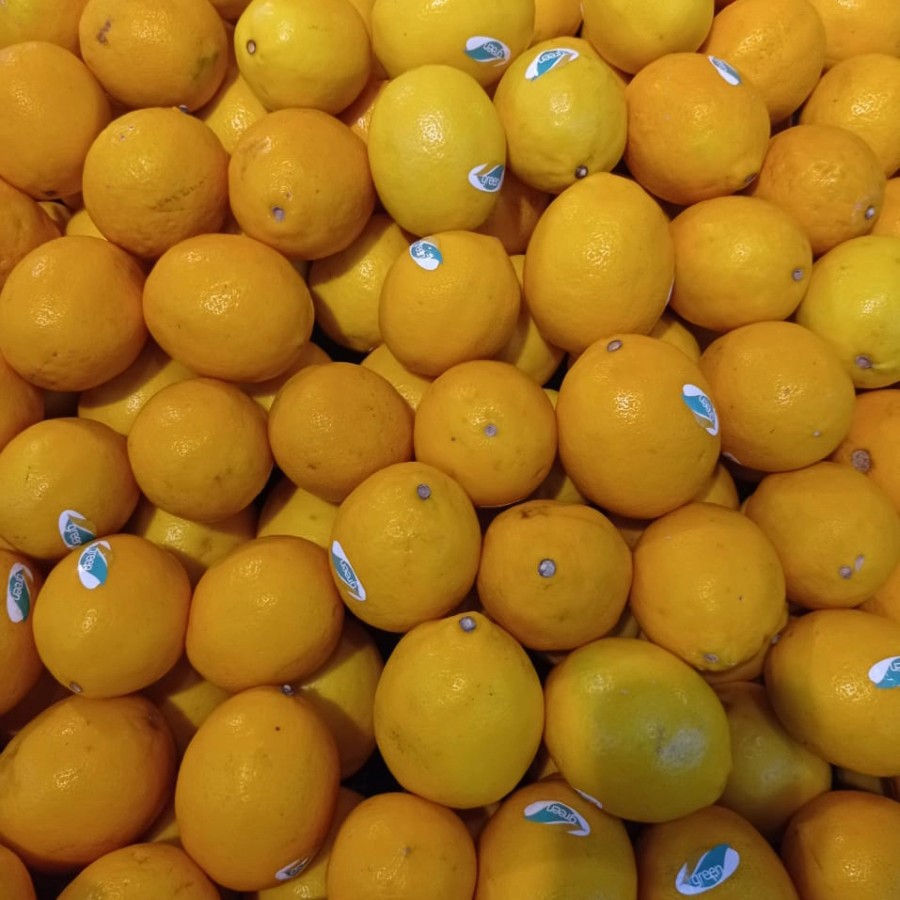 

LEMON LOKAL RASA SEGAR PER KG (900GR-1000GR)