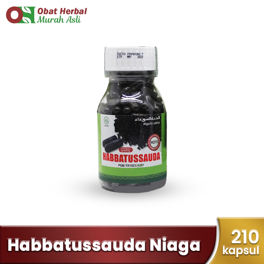 Habbatussauda Serbuk Niaga 210 HNU Kapsul Kurma Ajwa