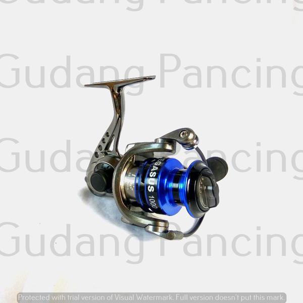 Reel Shino Pegasus 1000