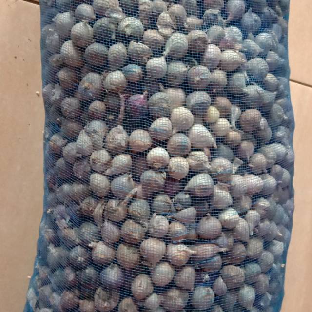 

Bawang lanang