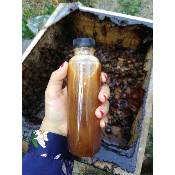 

MaduTrigona