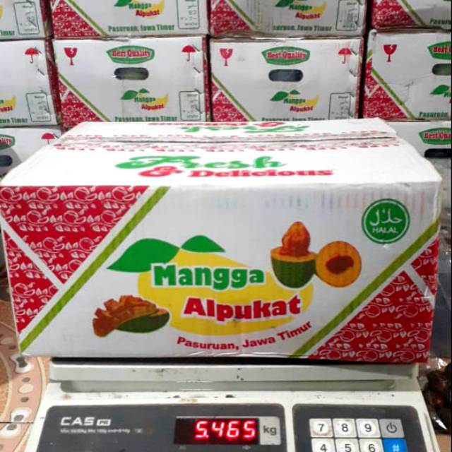 

Mangga Alpukat Klonal 21 Asli Bangil Pasuruan Jatim.. BERGARANSI.. Kemasan 5kg..