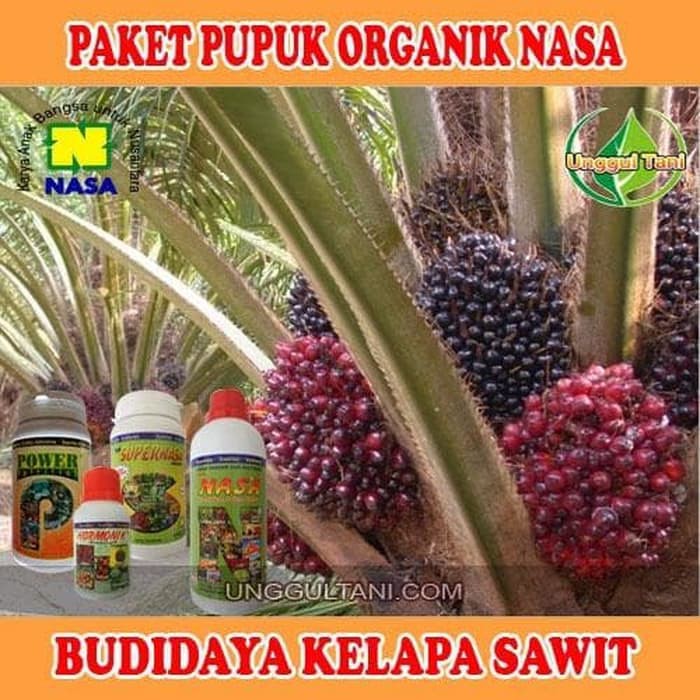 Paket Pupuk- Pupuk Organik Kelapa Sawit-Paket Pupuk Nasa Untuk Sawit