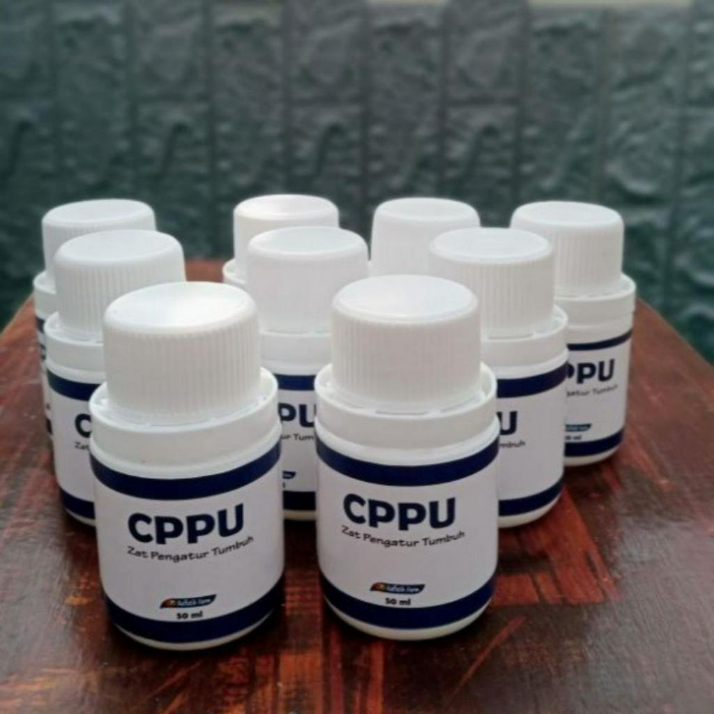 Raffatih Farm CPPU 50 ml - Zat Pengatur Tumbuh Buah Anggur