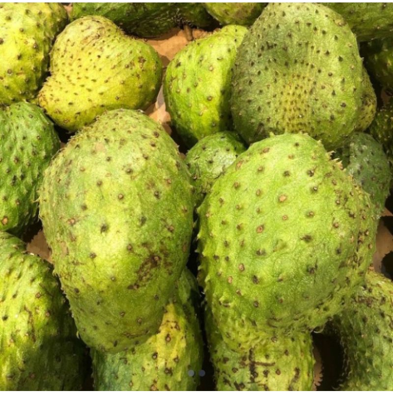 

BUAH SIRSAK SUPER MANIS KUALITAS PREMIUM 1 BUAH FRESH