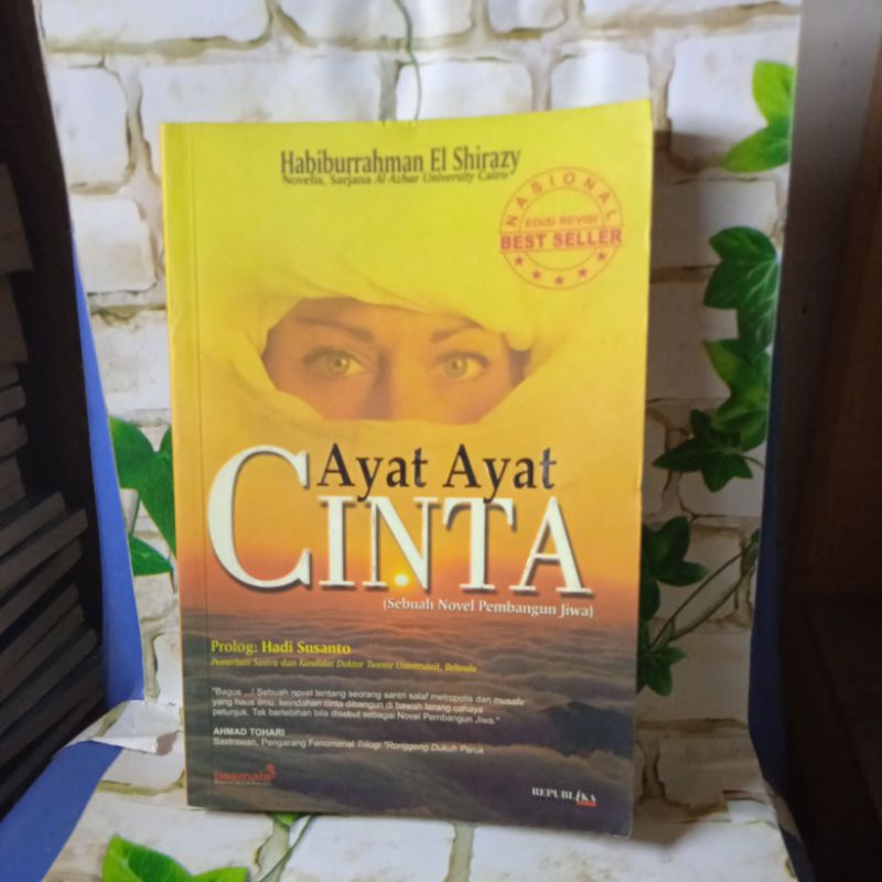 BUKU NOVEL AYAT AYAT CINTA