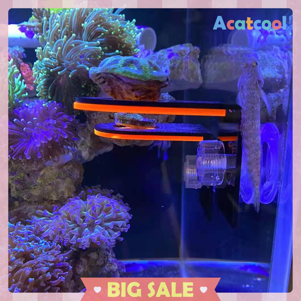 Fish Tank Fluorescence Coral Frag Rack Aquarium Reef with Plug Holder Stand