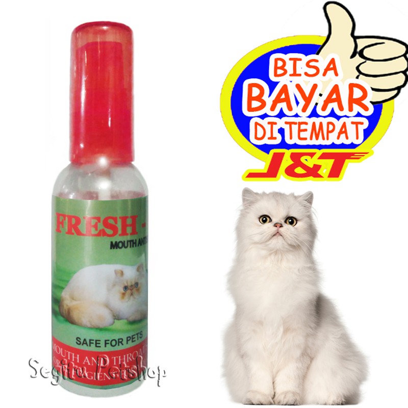 OBAT PENGHILANG BAU MULUT KUCING SARIAWAN FRESH C