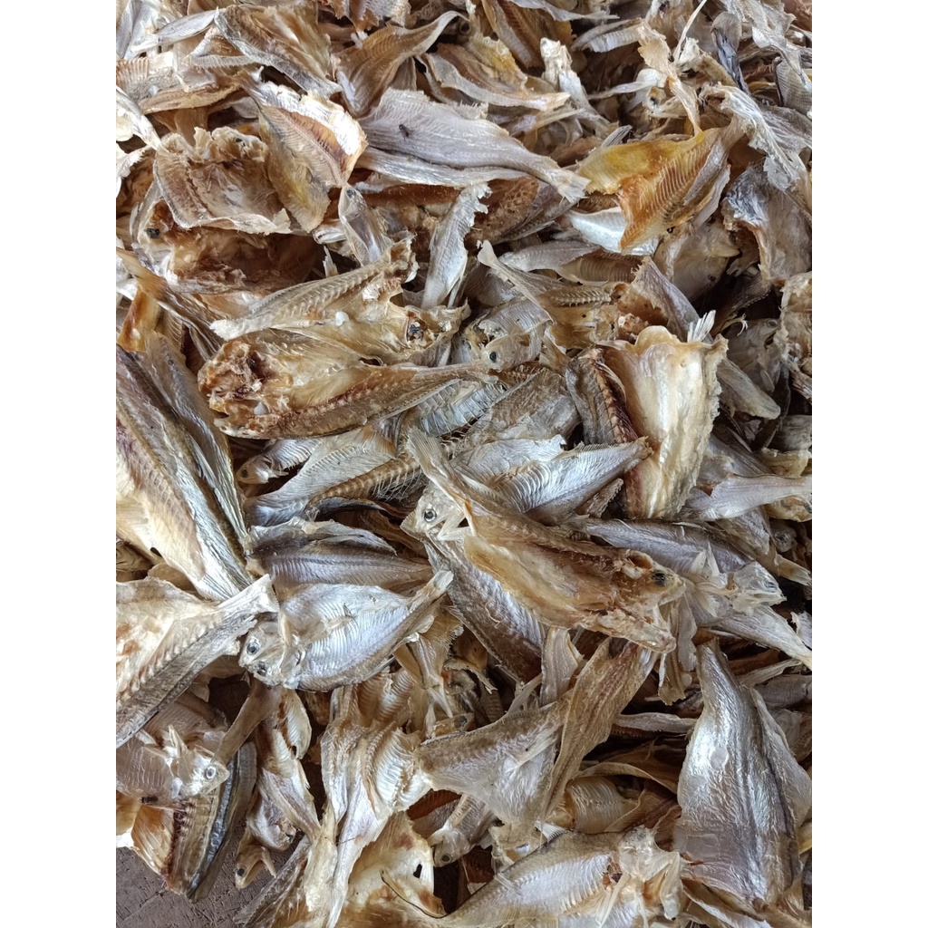 

Ikan kerupuk kering tawar