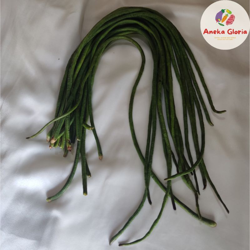 

Kacang Panjang