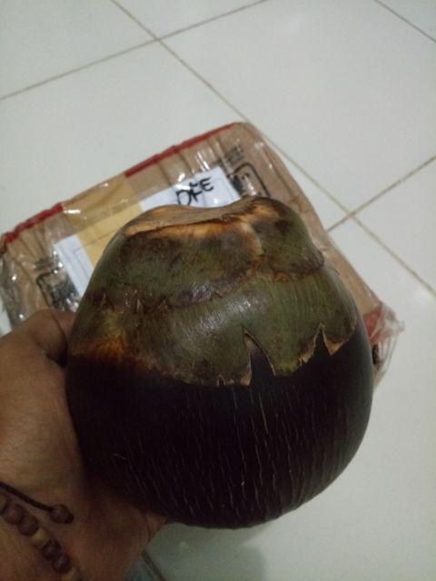 Buah Siwalan