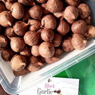 

Nalalic (Natural Lanang Black Garlic) isi lebih banyak.